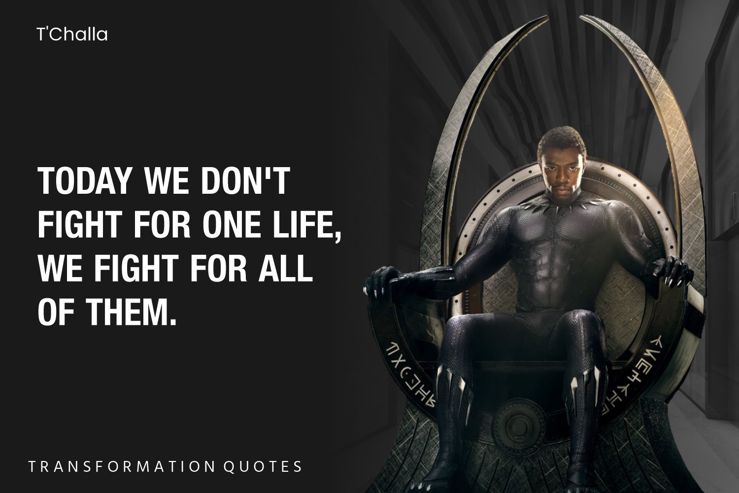 10 Black Panther Quotes That Will Inspire You | TransformationQuotes