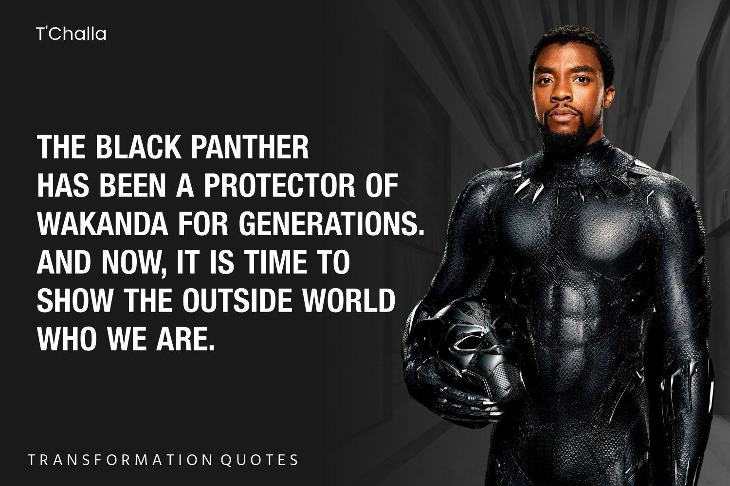 10 Black Panther Quotes That Will Inspire You | TransformationQuotes